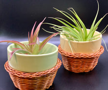 Load image into Gallery viewer, Mini flower pot with basket sleeve