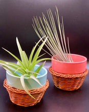 Load image into Gallery viewer, Mini flower pot with basket sleeve
