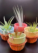 Load image into Gallery viewer, Mini flower pot with basket sleeve