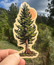 Load image into Gallery viewer, Evergreen and Chill Bear- sticker