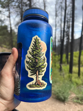 Load image into Gallery viewer, Evergreen and Chill Bear- sticker