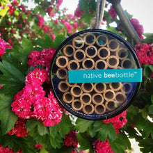 Load image into Gallery viewer, Native Bee Bottle