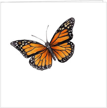 Load image into Gallery viewer, Greeting Card | Butterfly