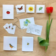 Load image into Gallery viewer, Greeting Card | Butterfly