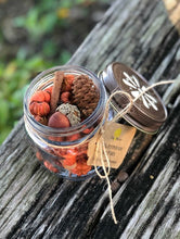 Load image into Gallery viewer, Mini Pumpkin Mix in Jars- two scents available