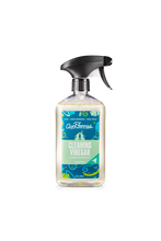Load image into Gallery viewer, All-Purpose Cleaning Vinegar- 3 scents available
