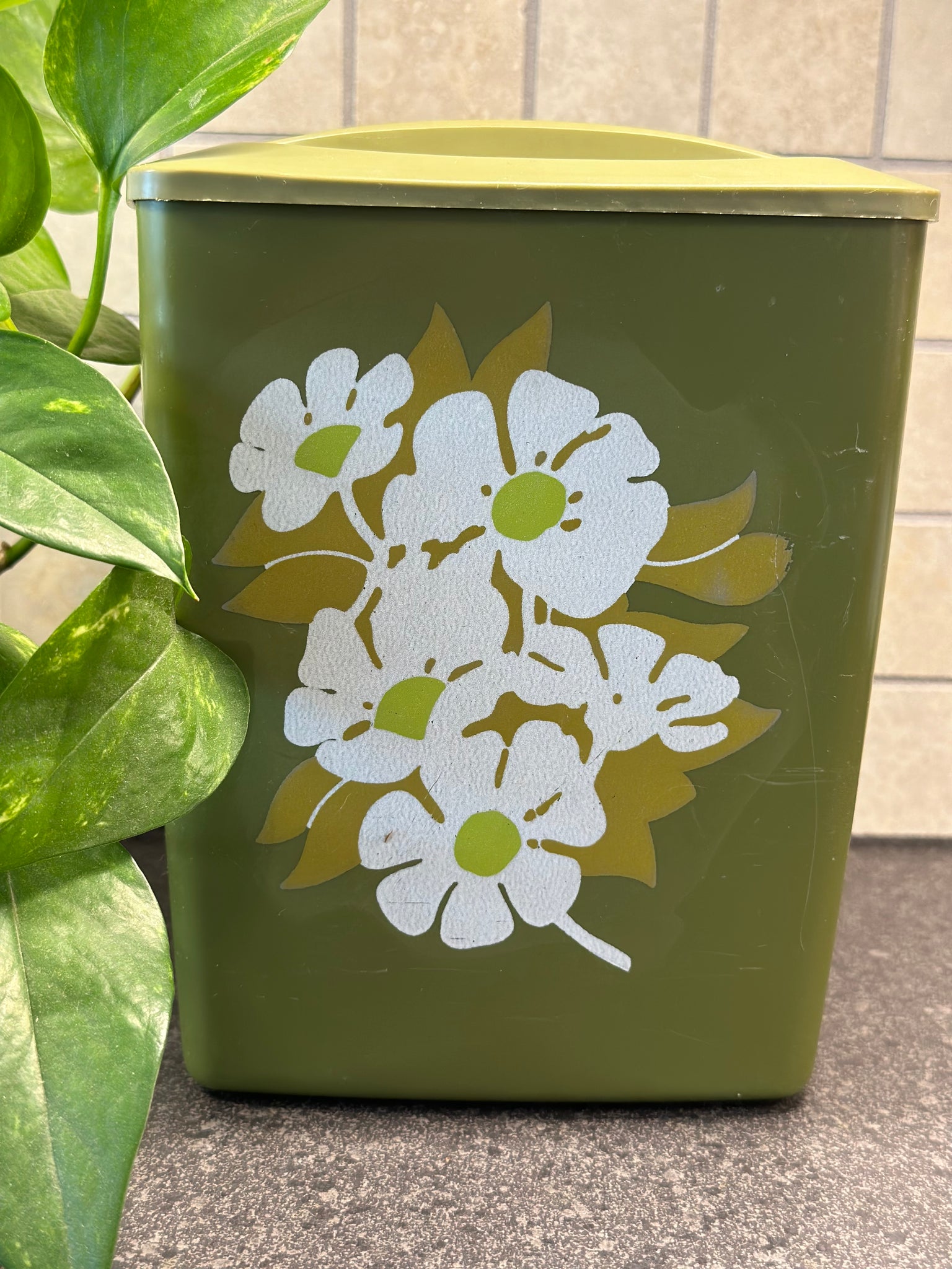 Flower Market Large Canister- Green - ivory & birch